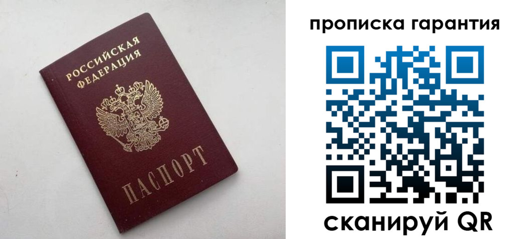 прописка поиск в Жуковском